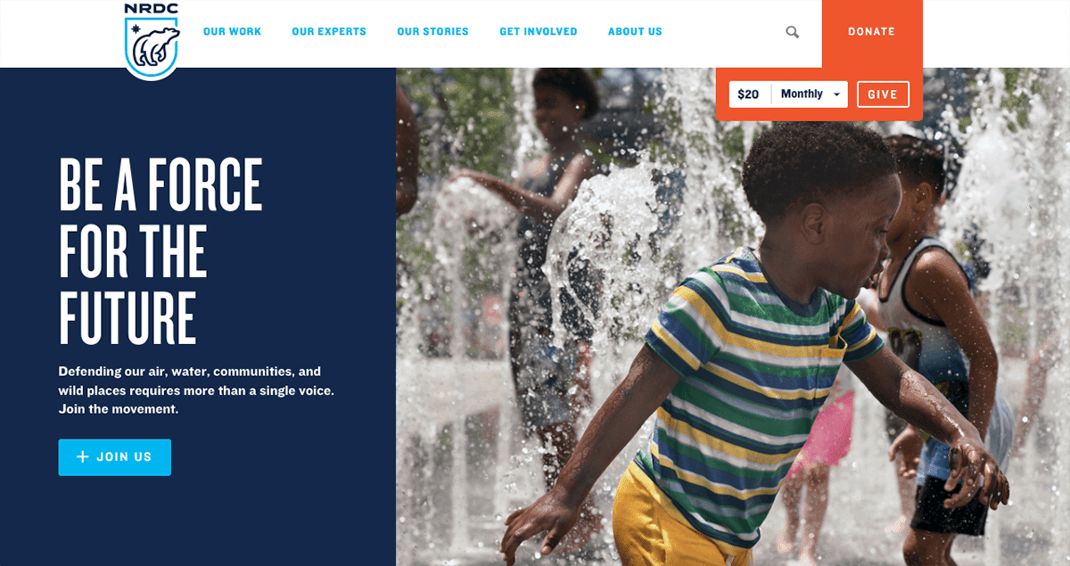 Screengrab showing the NRDC’s nonprofit website