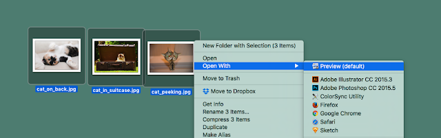 Screenshot of three cat photo files on desktop ready to open