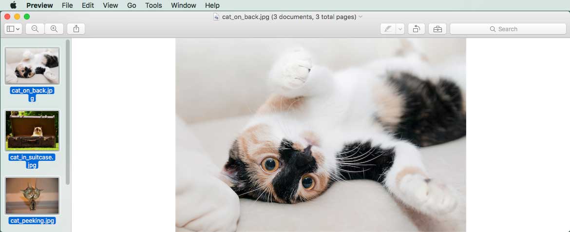 three images open in Preview window