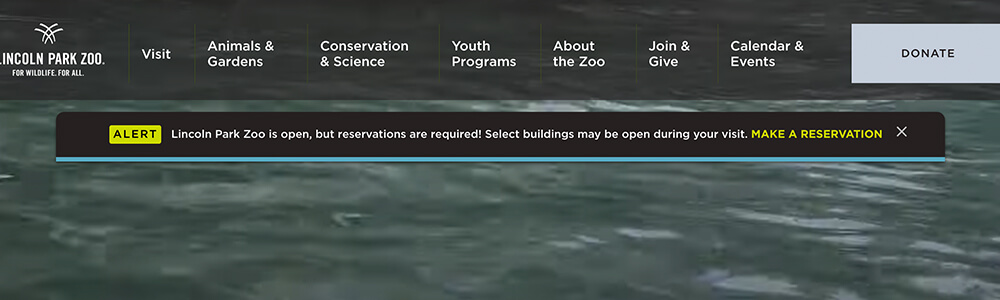 Lincoln Park Zoo website alert banner