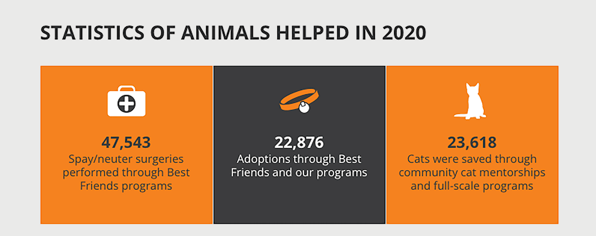 digital annual report example from the Best Friends Animal Society