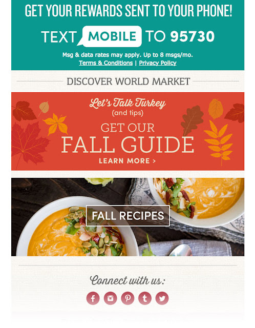 World Market holiday email campaign