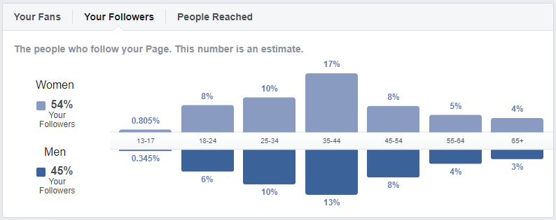 example of Facebook Audience Insights