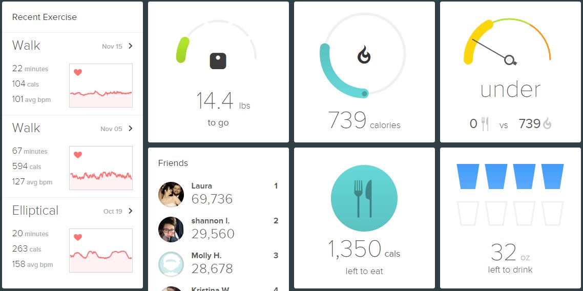 Example of FitBit dashboard