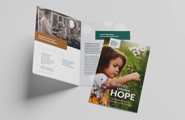 IBRI's award-winning brochure, created in partnership with healthcare marketing group TBH Creative