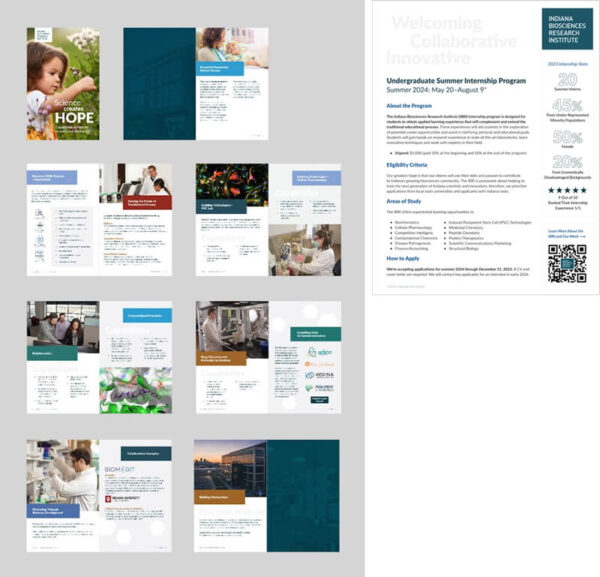 A look inside the IBRI's award-winning brochure, created in partnership with healthcare marketing group TBH Creative (left); the IBRI's internship recruitment flyer