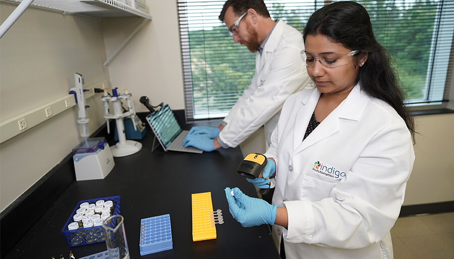 Indigo BioAutomation employees working in lab