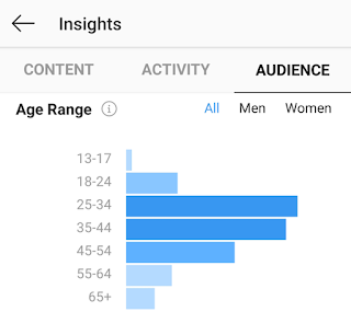 Example of Instagram audience insights