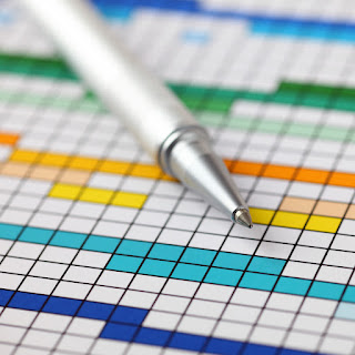 Project management colorful chart tracker